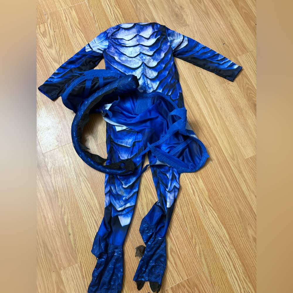 Amazon Blue Dragon Kids Costume